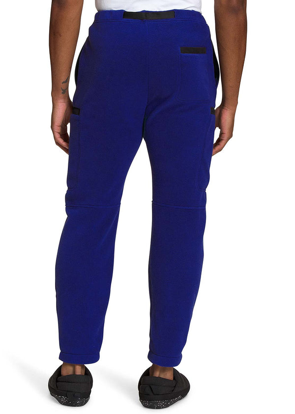 The North Face Men's Alpine Regular Polartec 200 Pants PRFO Sports