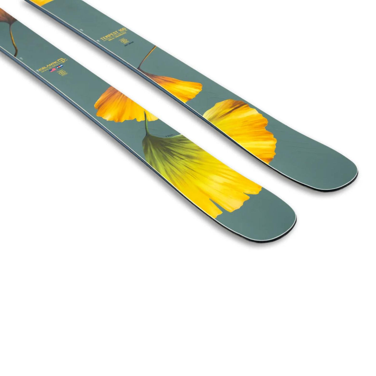 Icelantic Women's Tempest 100 Ski