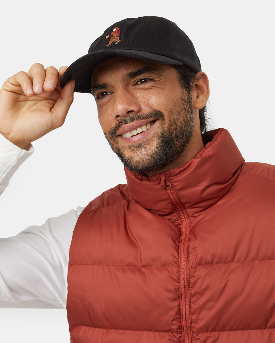 Tentree Accessories Sasquatch Peak Hat