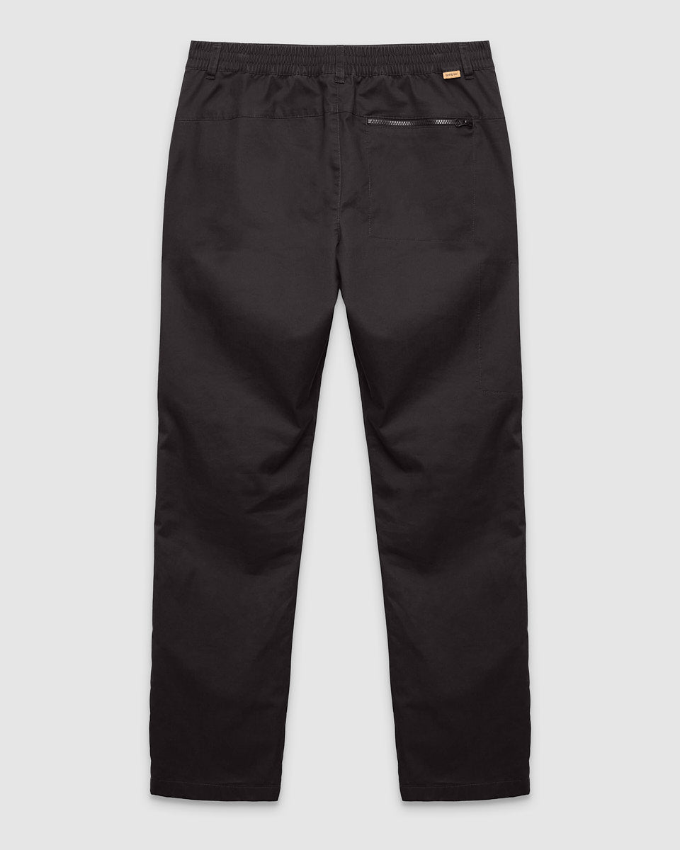 Tentree Men's Edelman Pant