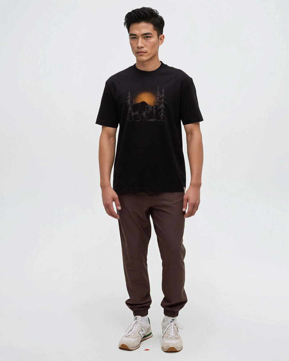 Tentree Men's Regenerative Boreal Bison T-Shirt