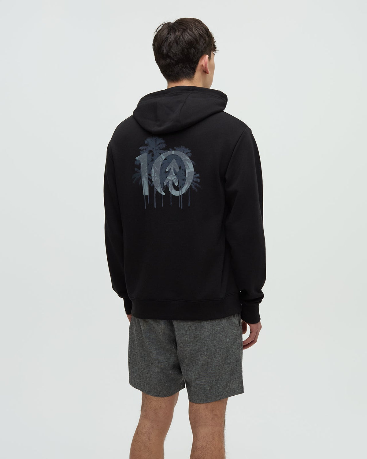 Tentree Men's Haiti Palm Logo Relaxed Hoodie