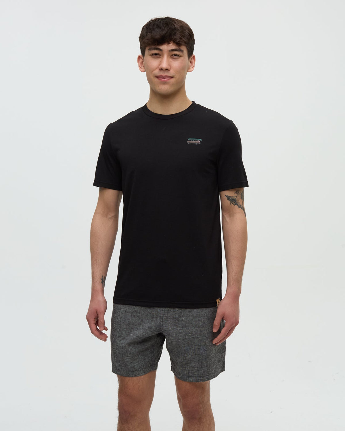 Tentree Men's Lake Tentree Men's T-Shirt