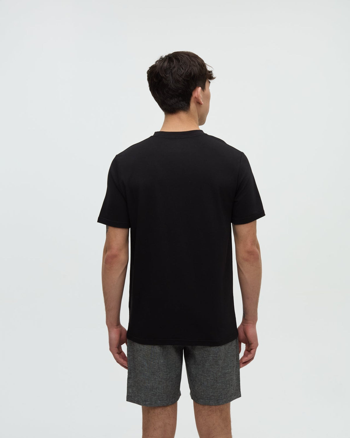 Tentree Men's Haiti Palm Logo T-Shirt
