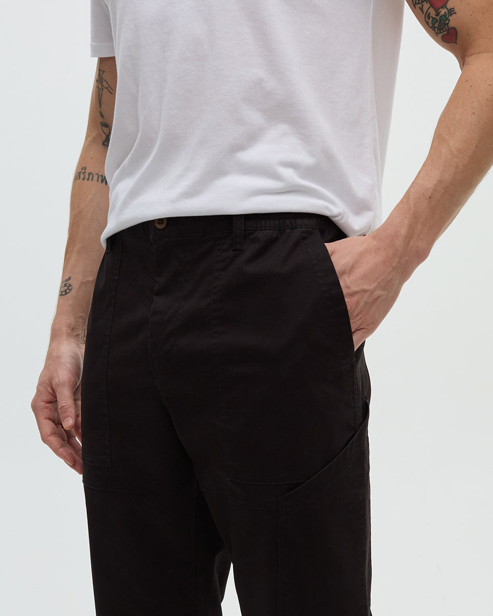 Tentree Men's Terrace Pant