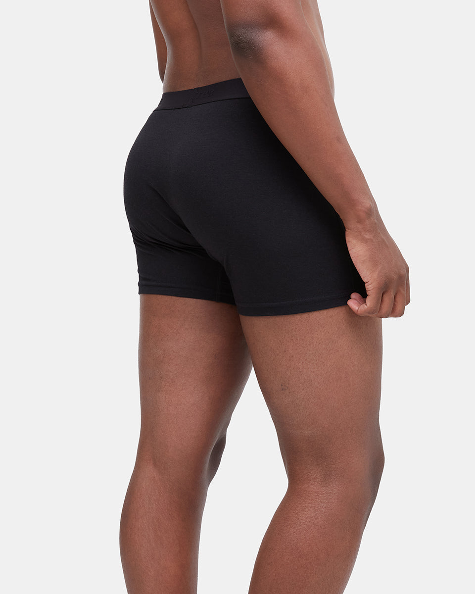 Tentree Men's The 5" Boxer Brief