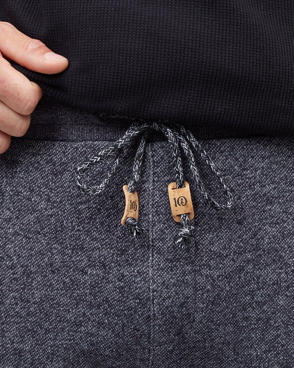 Tentree Men's Atlas Sweatpant