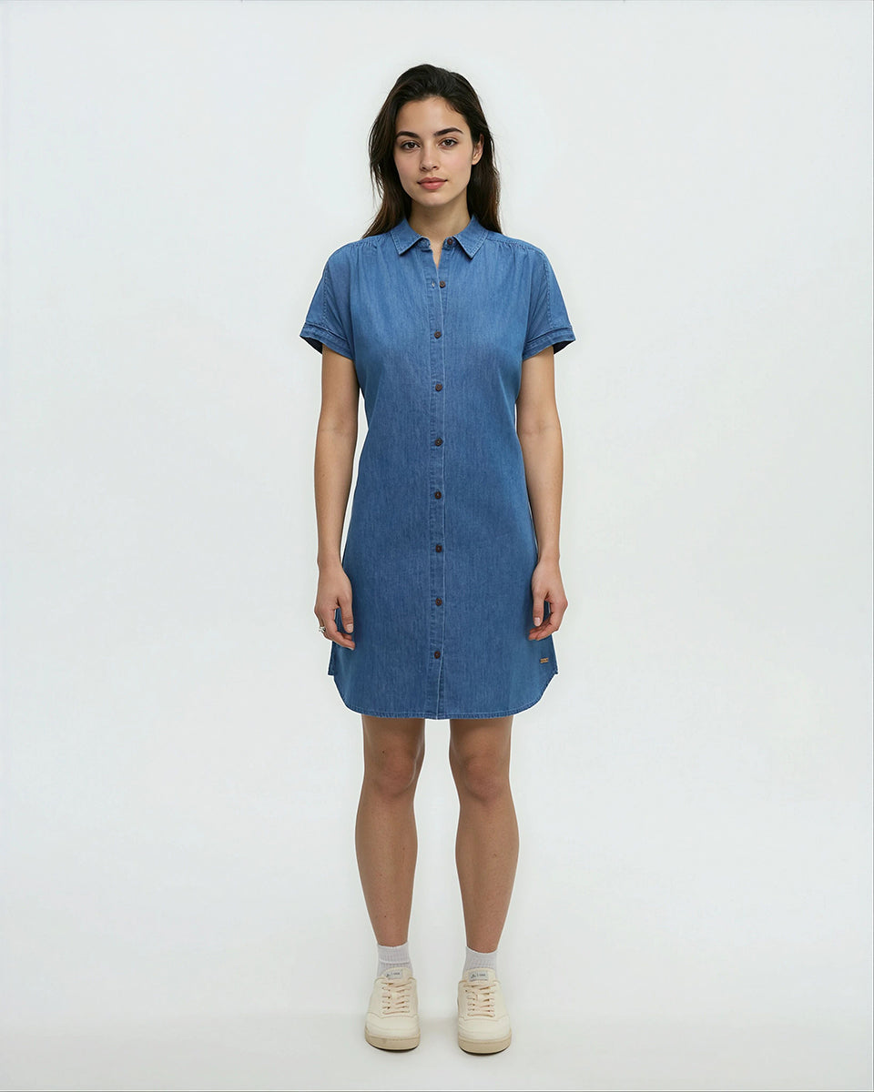 Tentree Women's Denim Tern Dress
