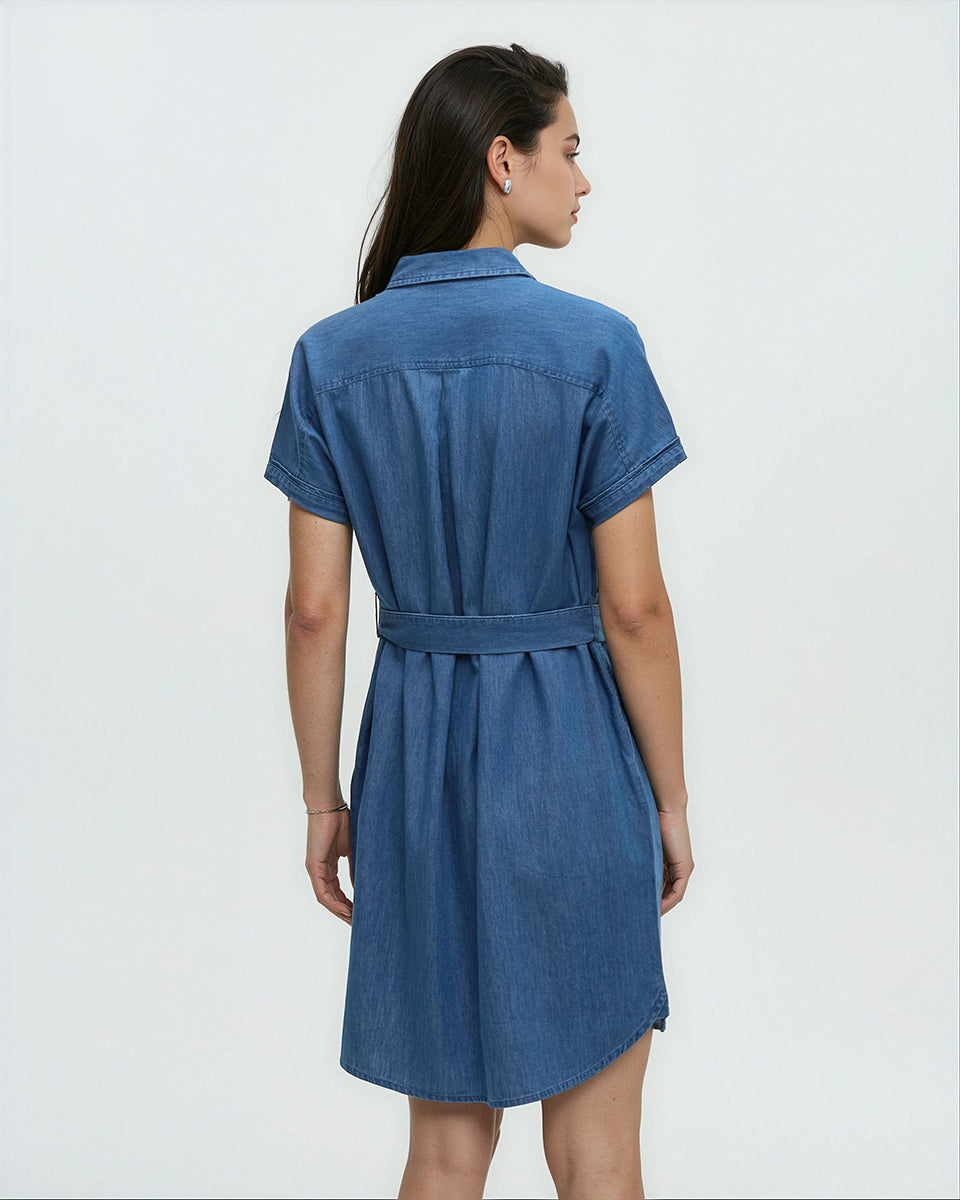 Tentree Women's Denim Tern Dress