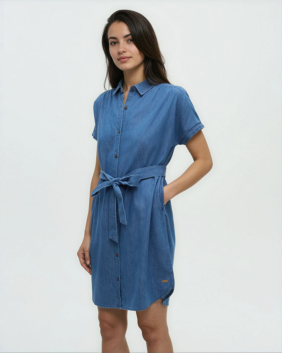 Tentree Women's Denim Tern Dress