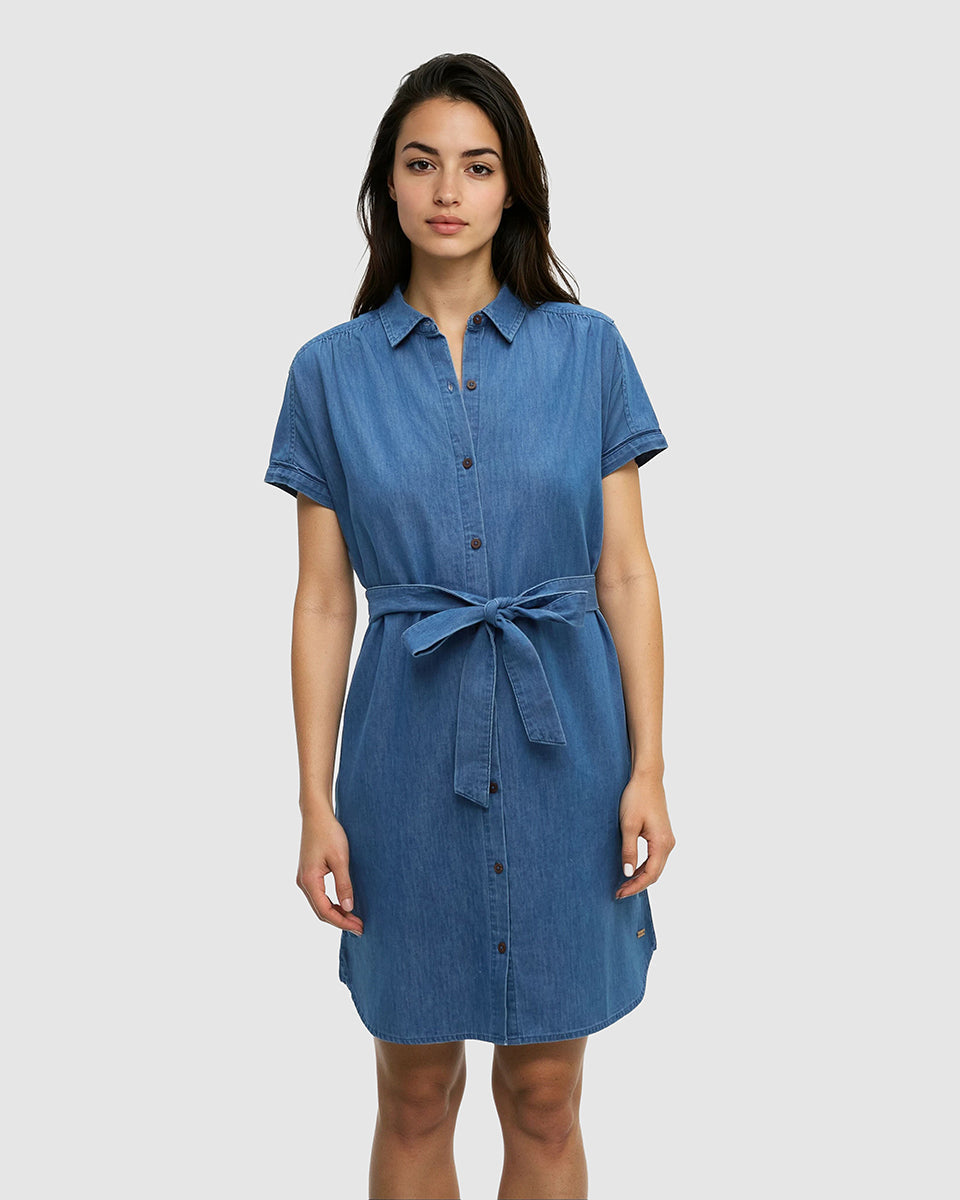 Tentree Women's Denim Tern Dress