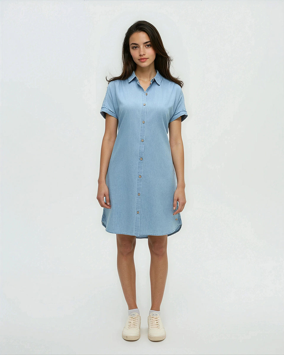 Tentree Women's Denim Tern Dress