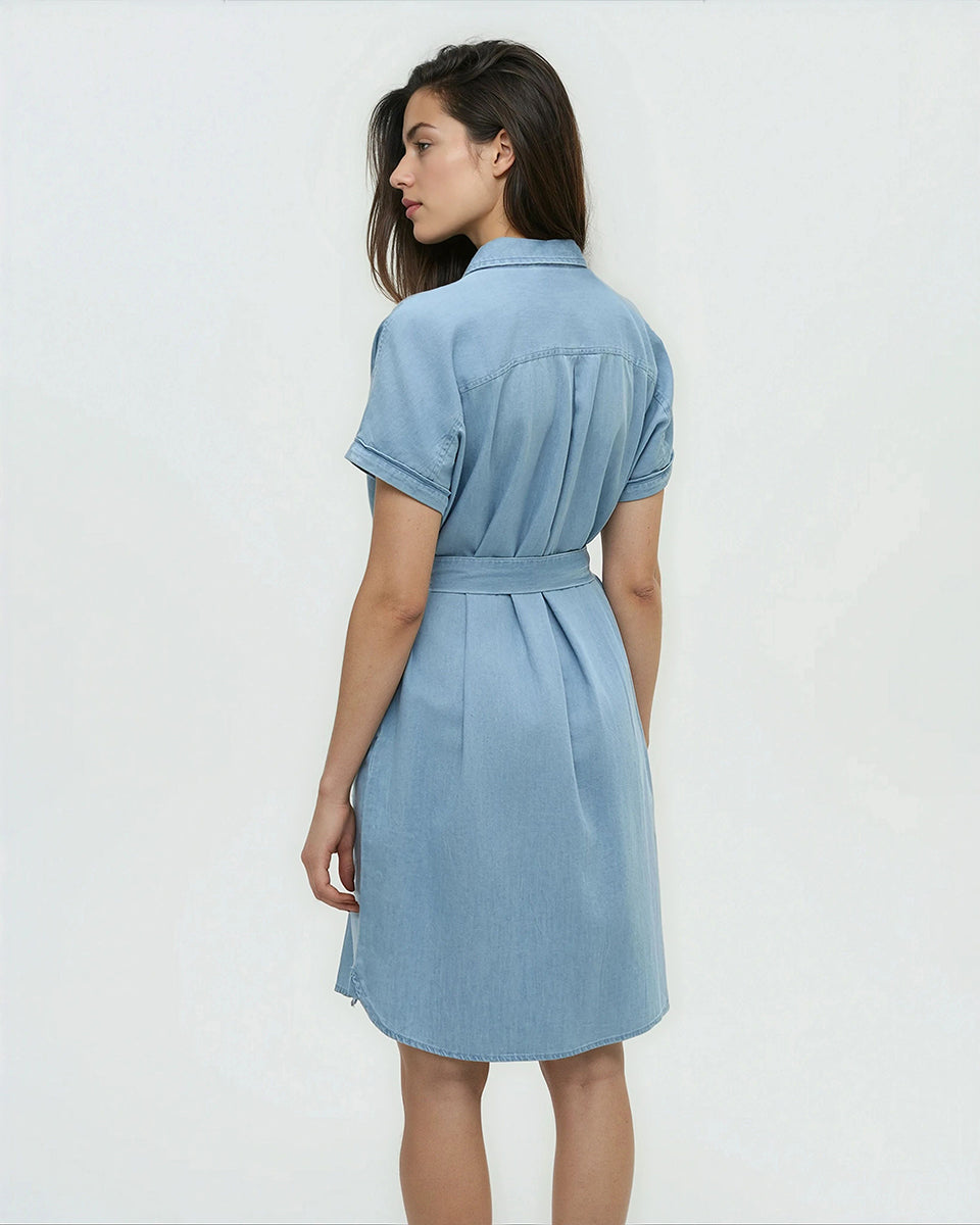 Tentree Women's Denim Tern Dress