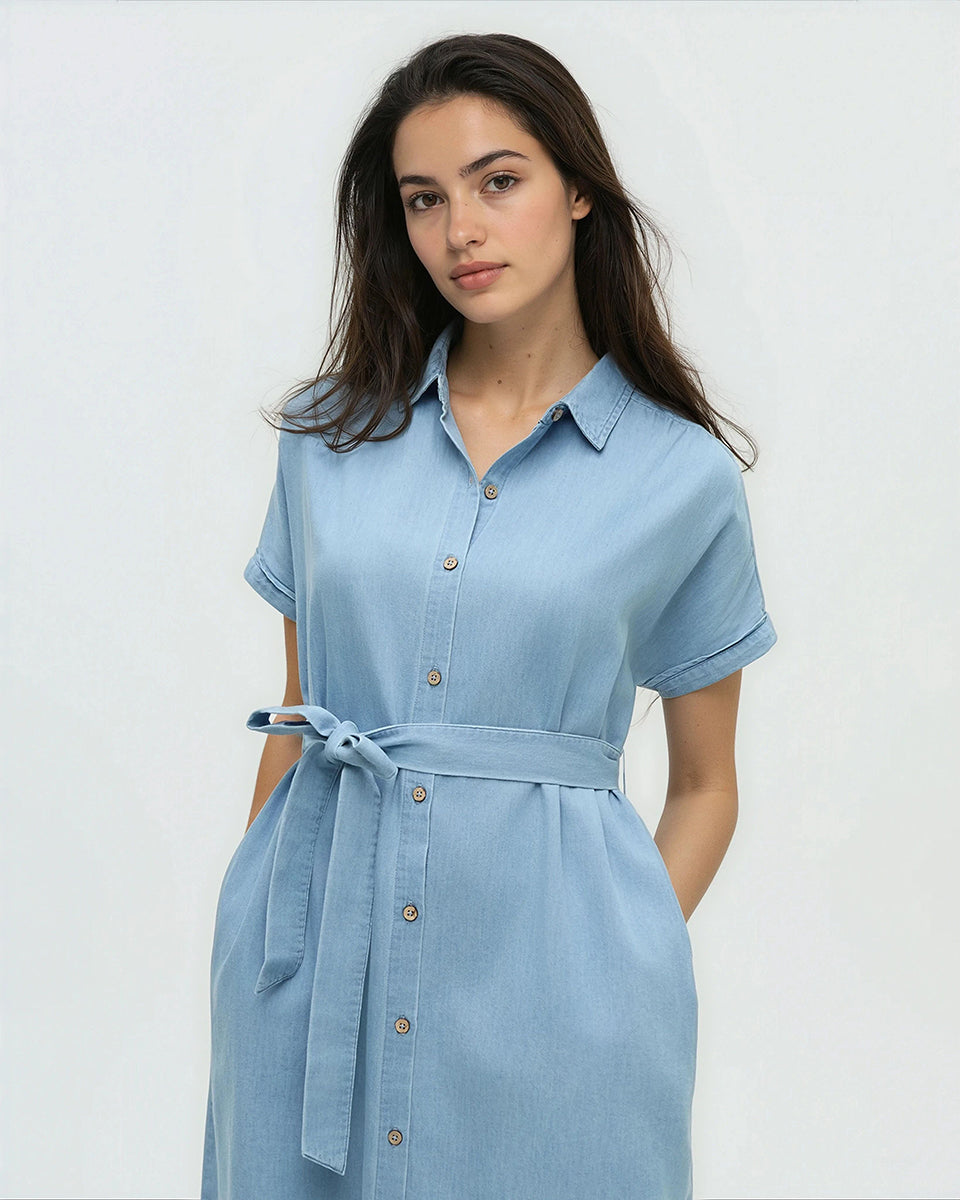 Tentree Women's Denim Tern Dress