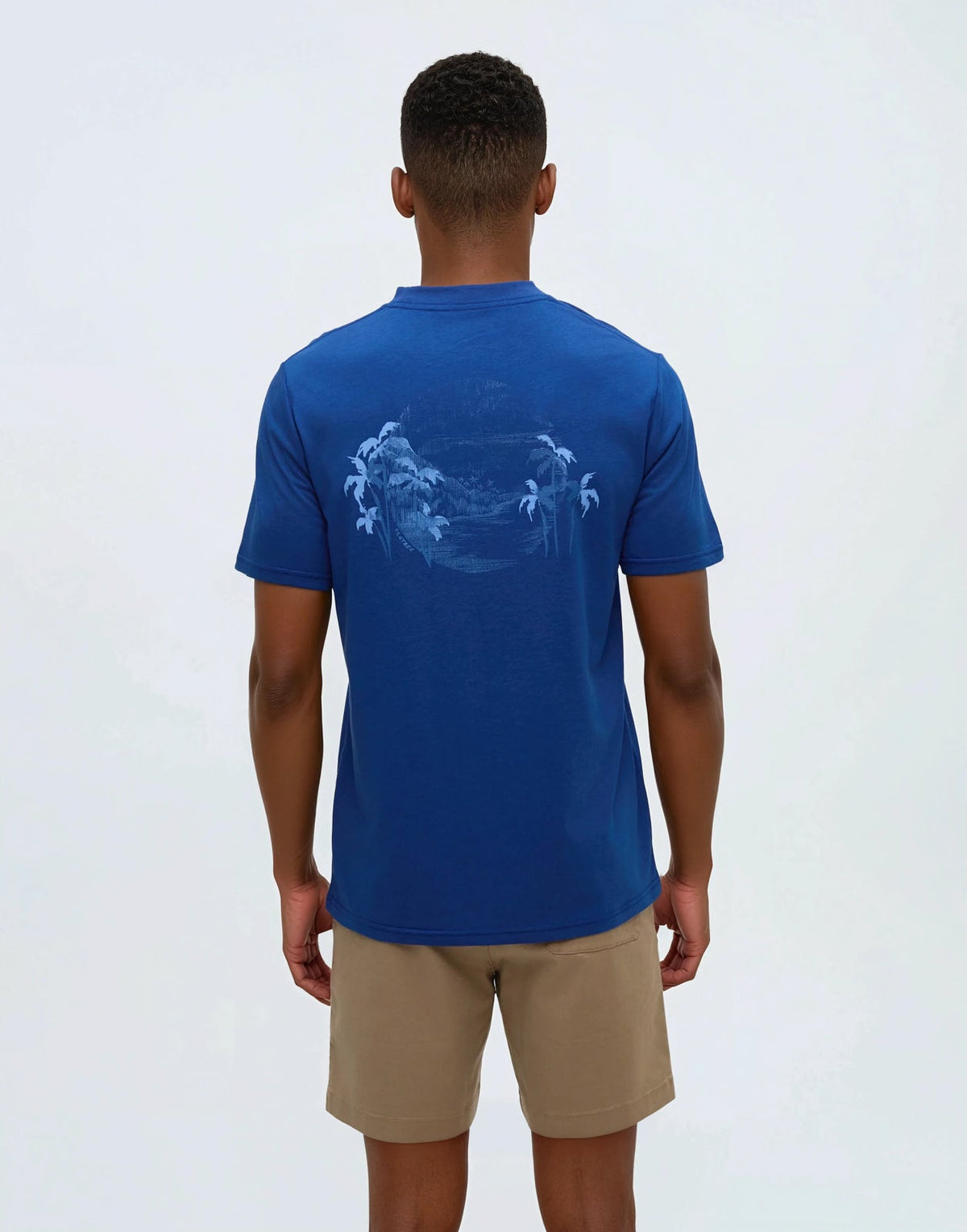 Tentree Men's Haiti Palm Overlay T-Shirt