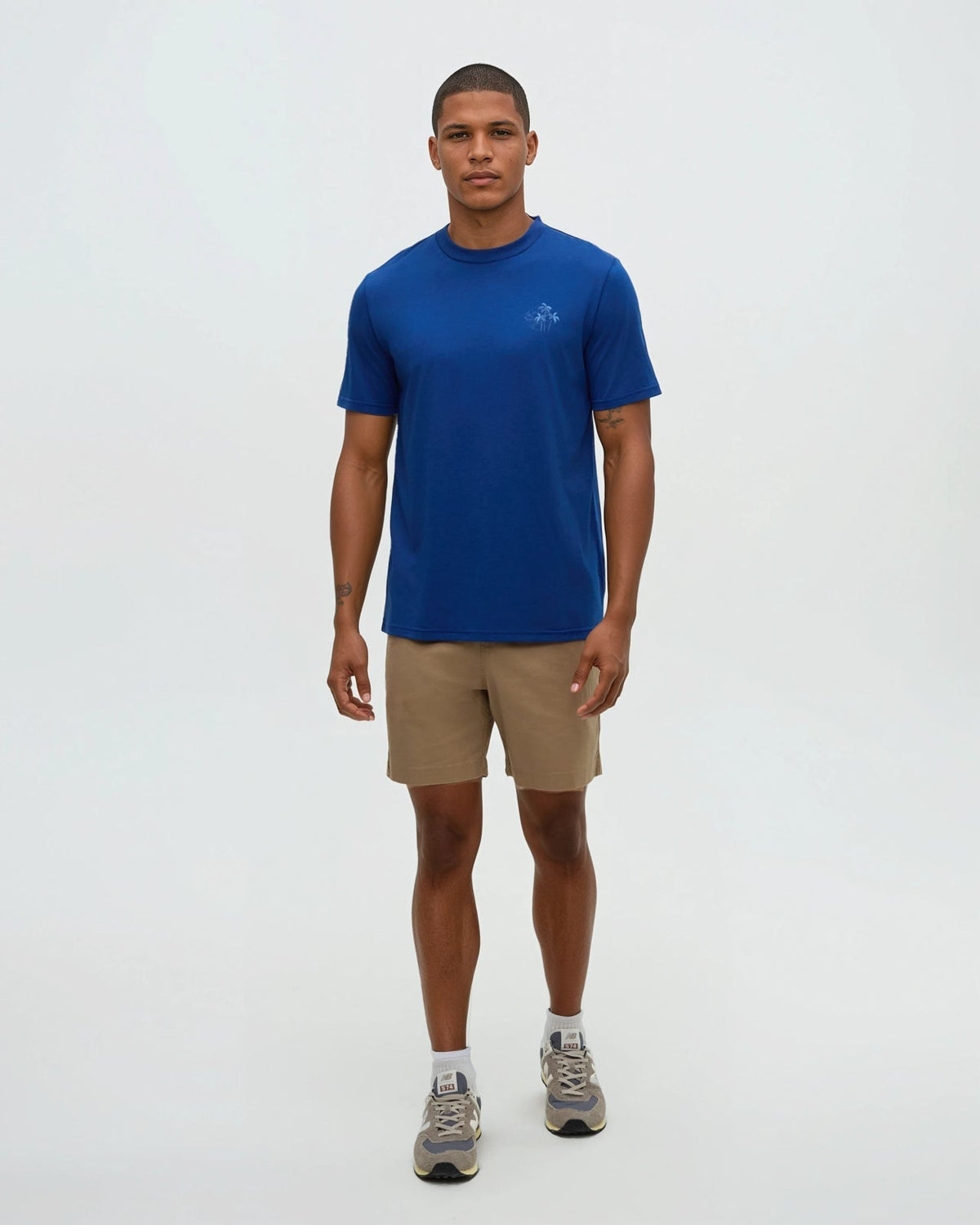 Tentree Men's Haiti Palm Overlay T-Shirt