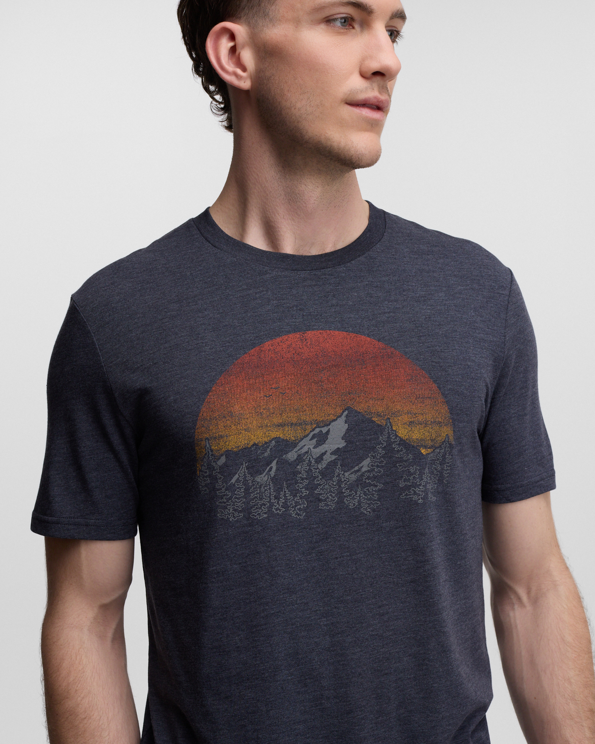 Tentree Men's Vintage Sunset T-Shirt