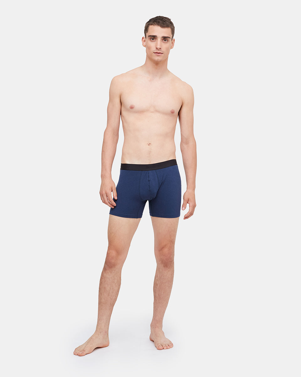 Tentree Men's The 5" Boxer Brief