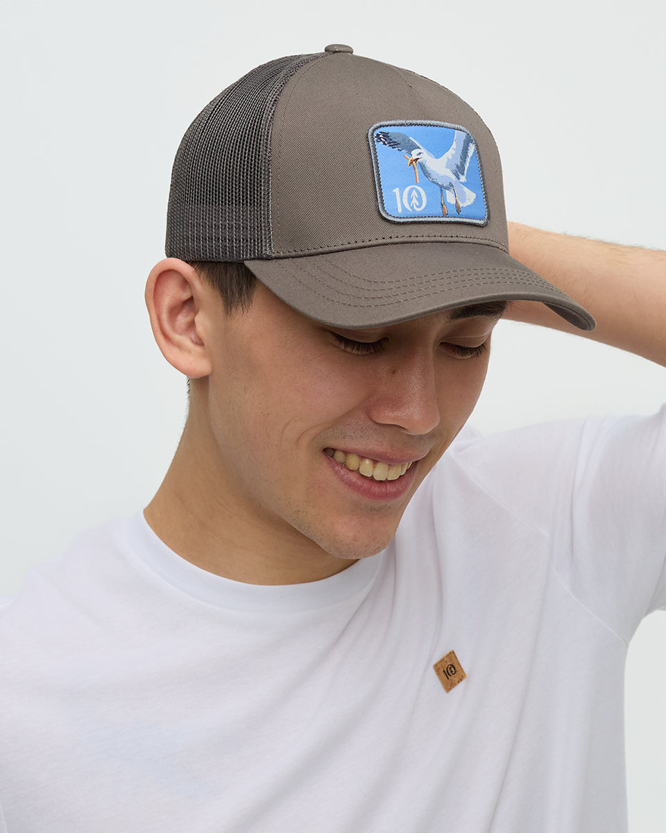 Tentree Accessories Lake Logo Altitude Hat