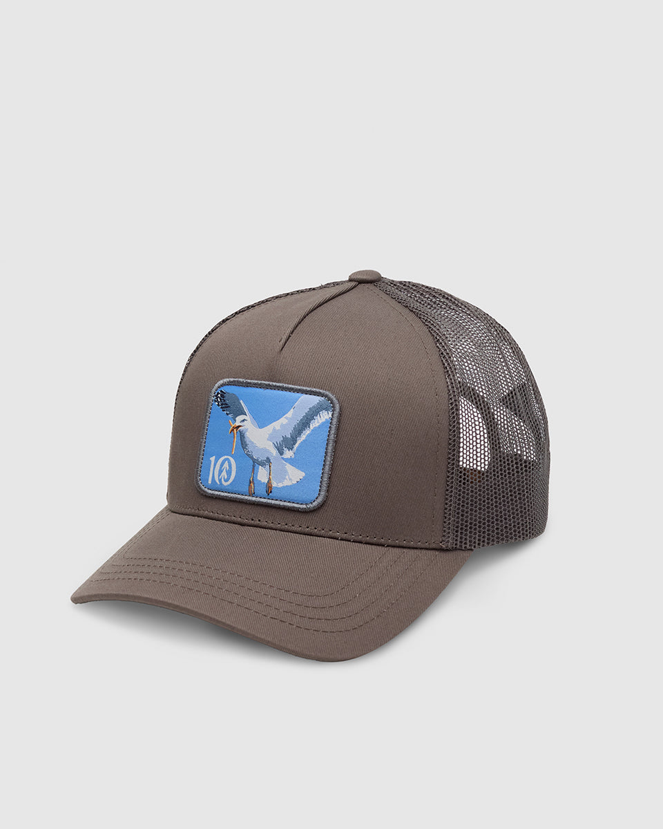 Tentree Accessories Lake Logo Altitude Hat