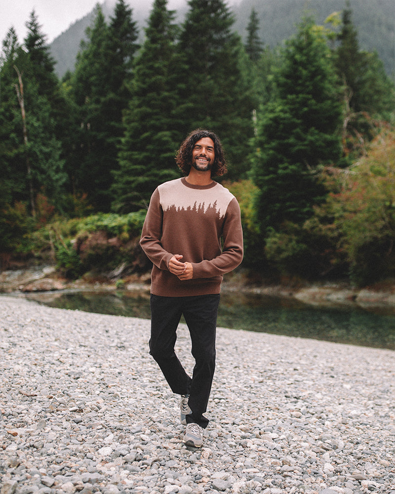 Tentree Men's Juniper Sweater