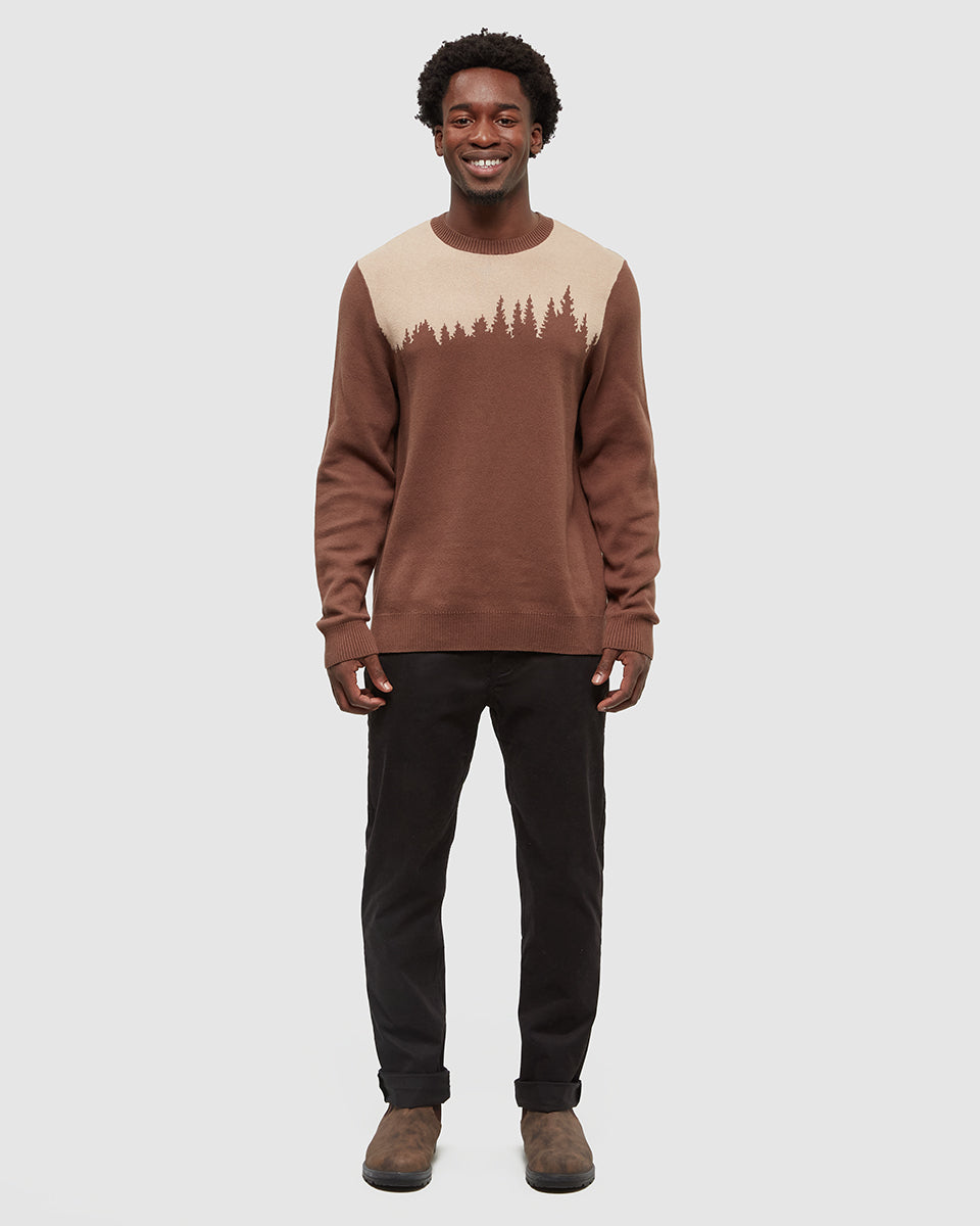 Tentree Men's Juniper Sweater