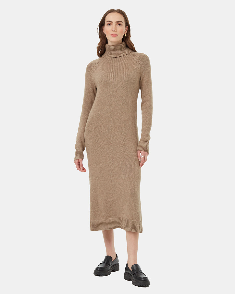 Tentree Women's Highline Turtleneck Maxi Dress