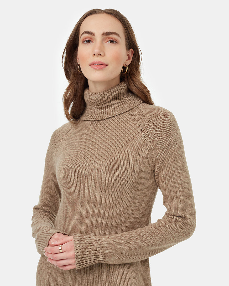 Tentree Women's Highline Turtleneck Maxi Dress