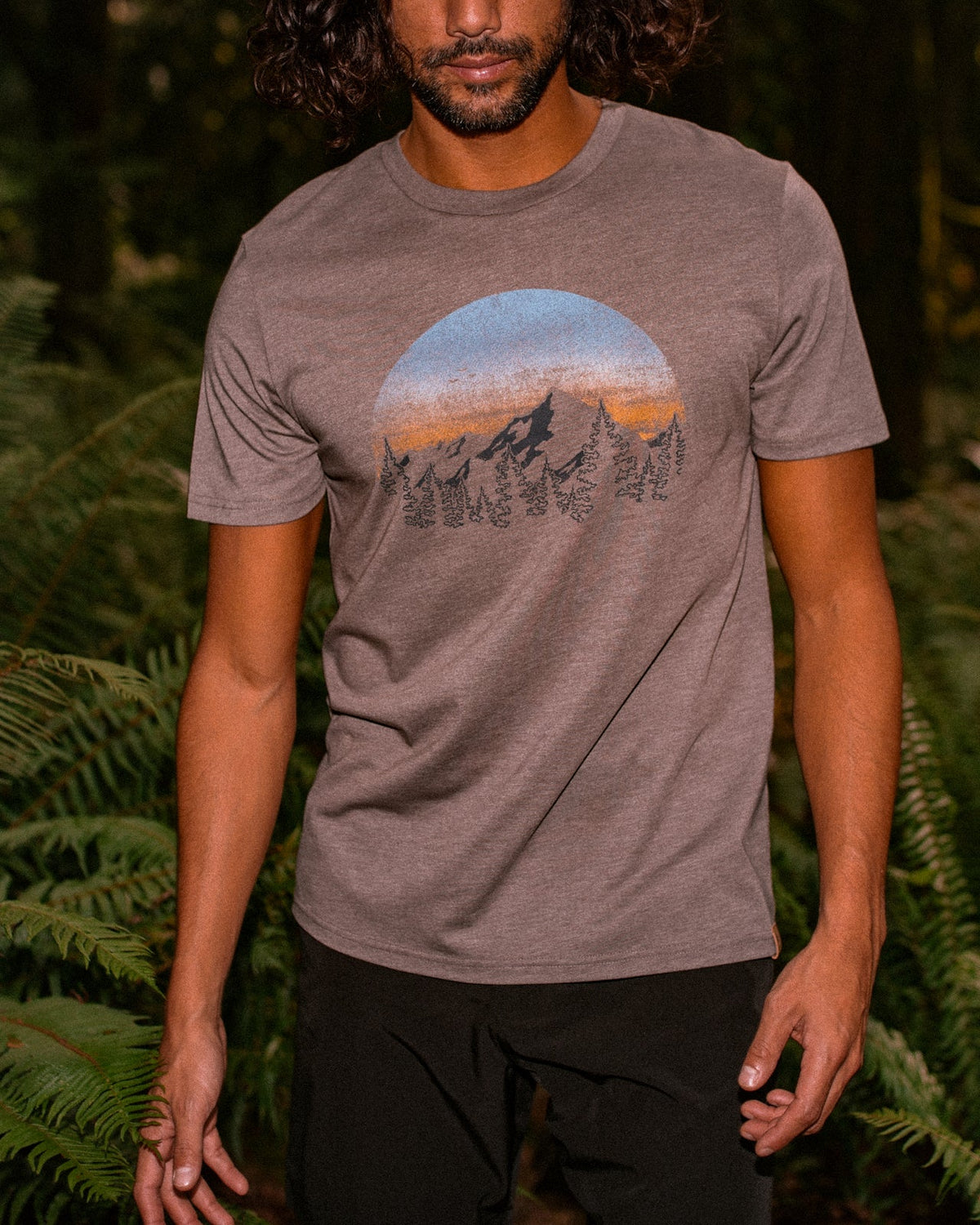 Tentree Men's Vintage Sunset T-Shirt