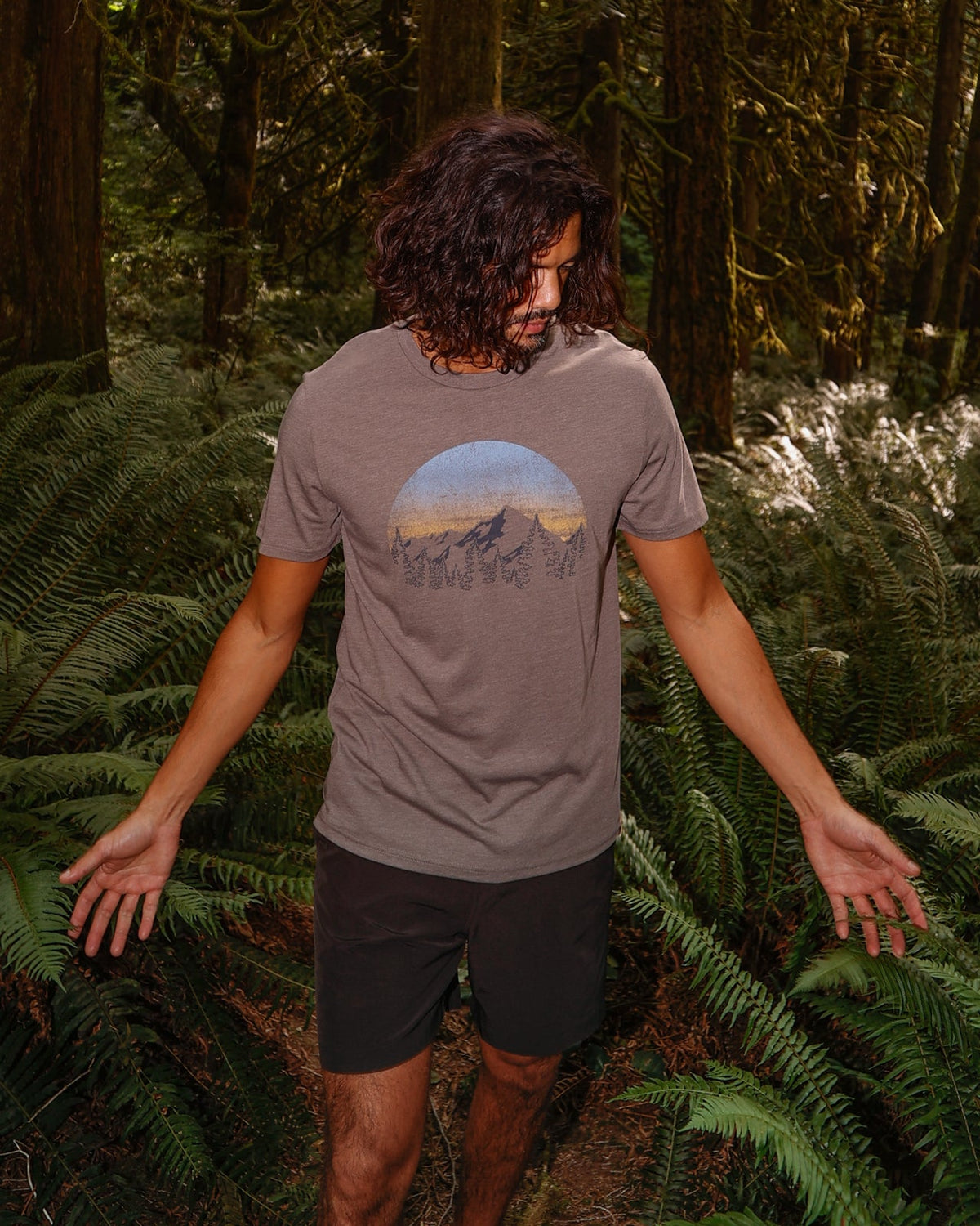 Tentree Men's Vintage Sunset T-Shirt
