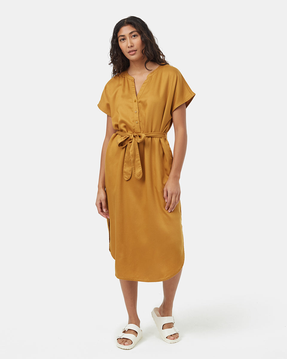 Tentree Women's Tencel Shirt Dress
