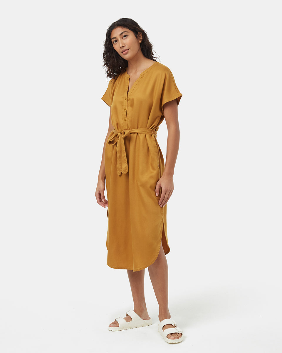 Tentree Women's Tencel Shirt Dress