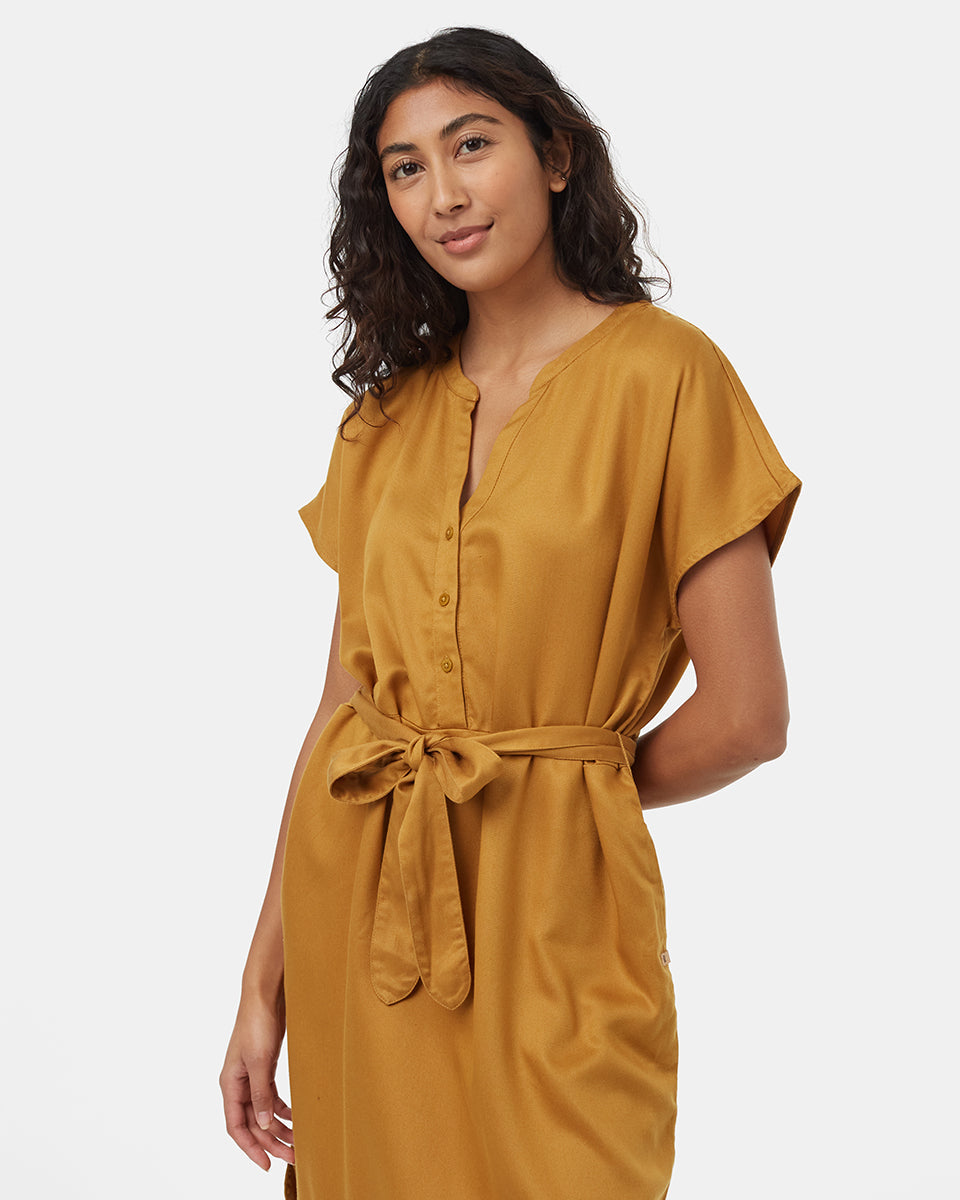 Tentree Women's Tencel Shirt Dress