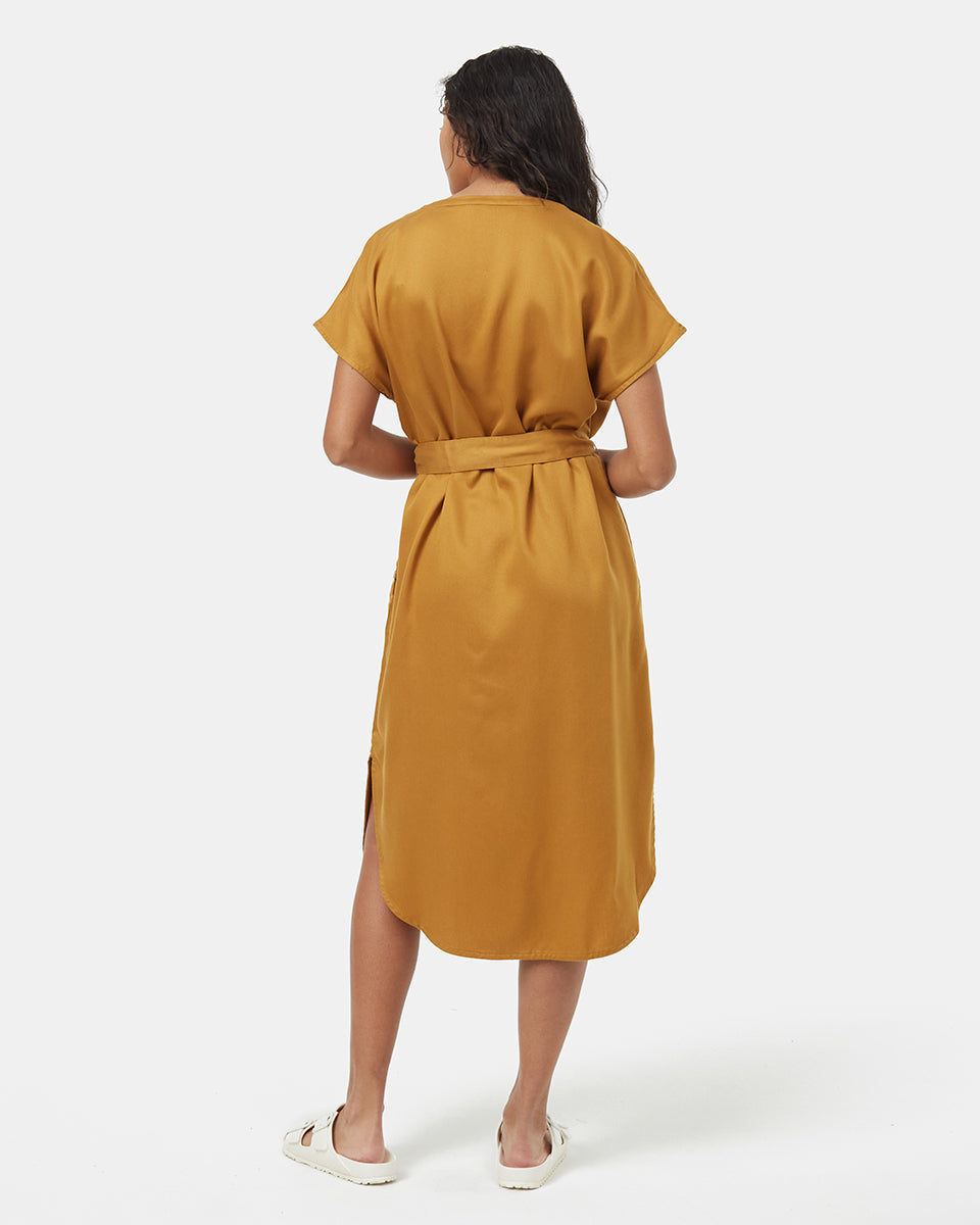 Tentree Women's Tencel Shirt Dress