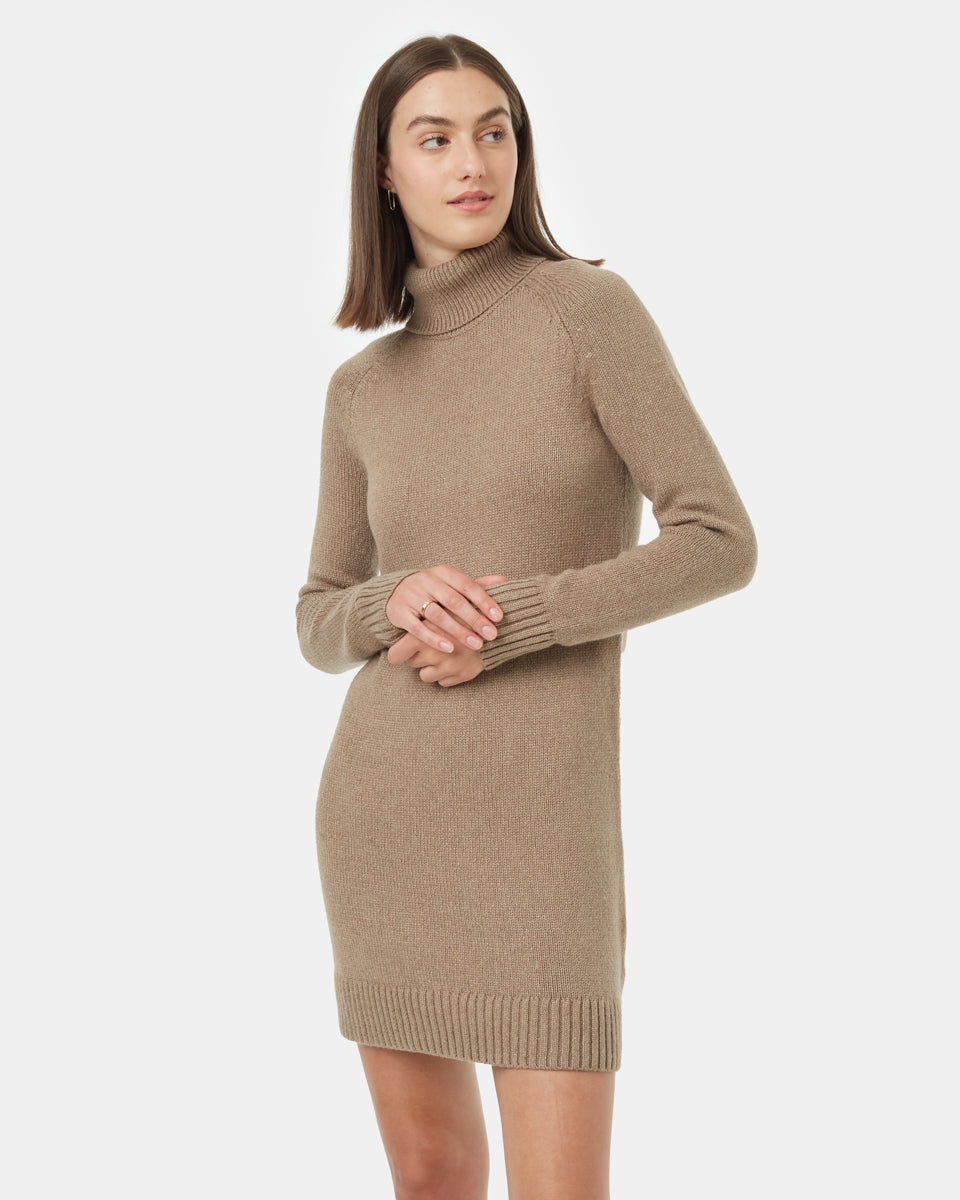 Tentree Women's Highline Turtleneck Dress