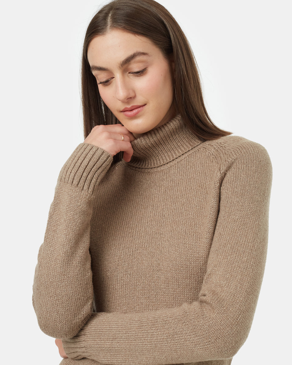 Tentree Women's Highline Turtleneck Dress