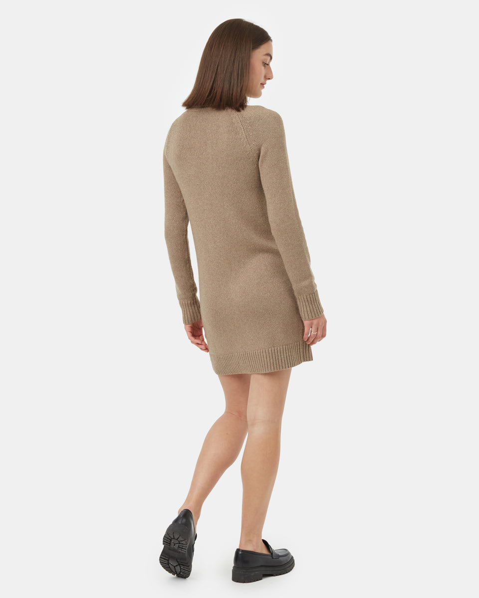 Tentree Women's Highline Turtleneck Dress