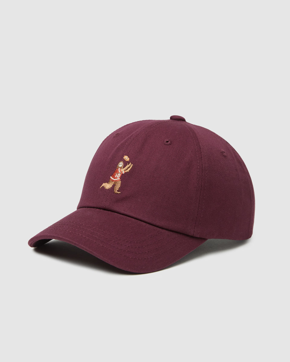 Tentree Accessories Sasquatch Peak Hat