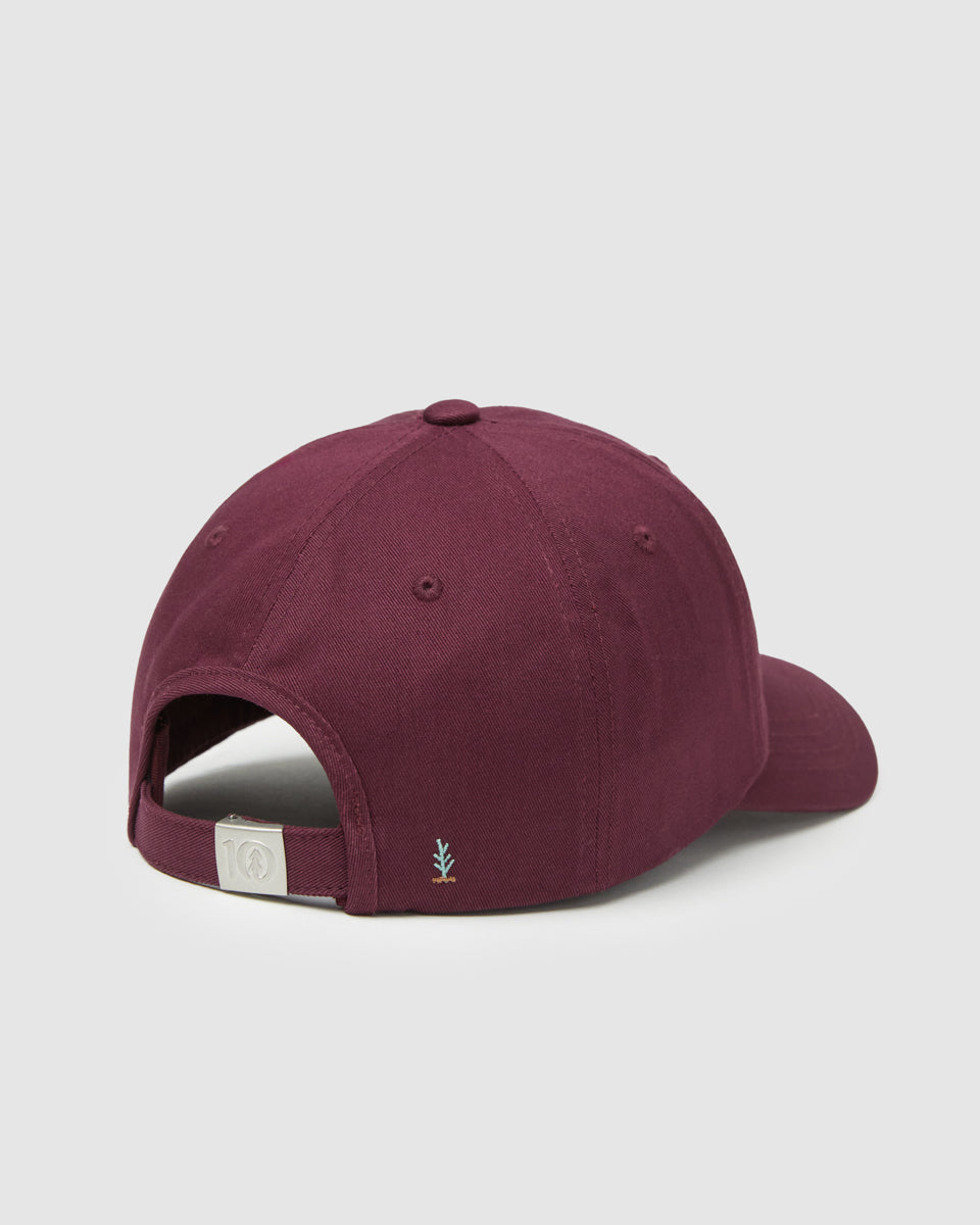 Tentree Accessories Sasquatch Peak Hat