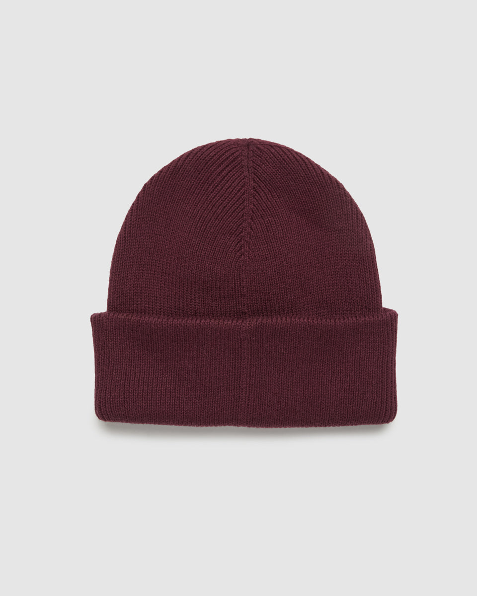 Tentree Accessories Alden Beanie