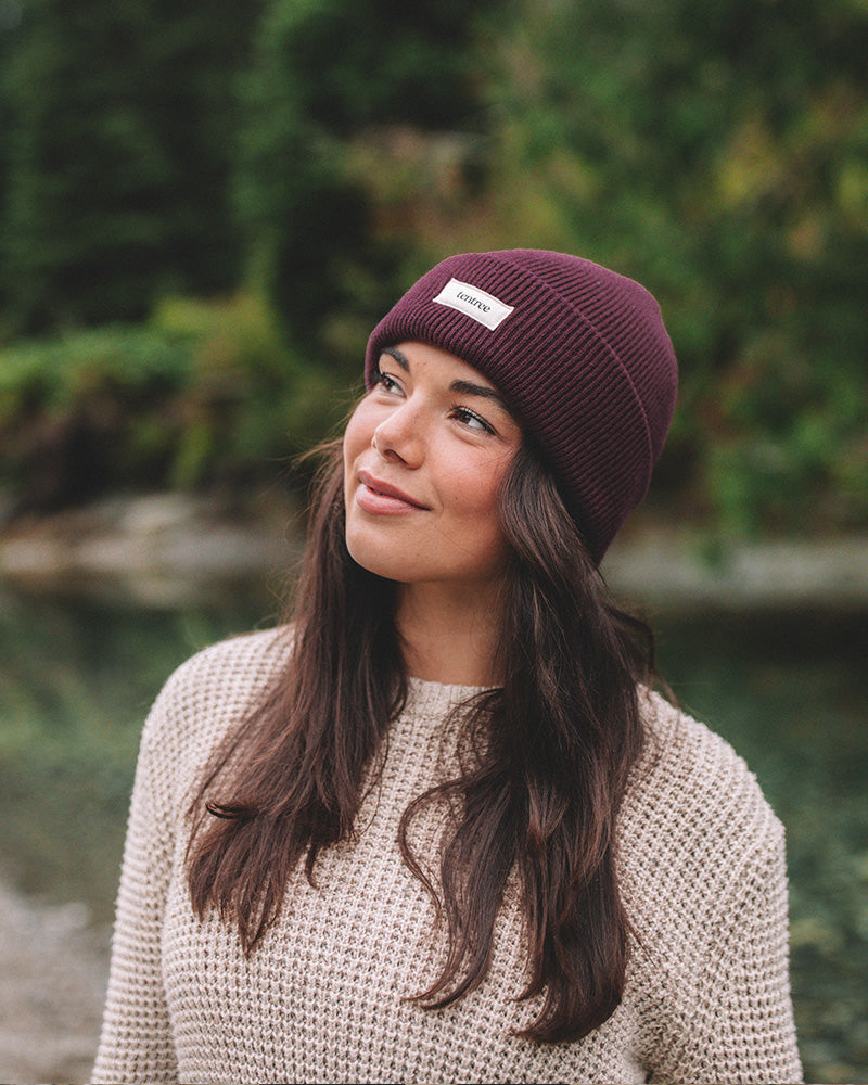Tentree Accessories Alden Beanie