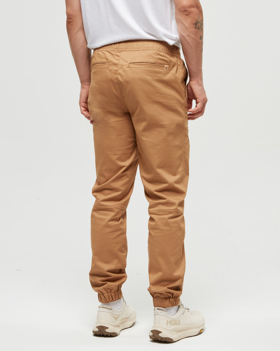 Tentree Men's Stormont Jogger