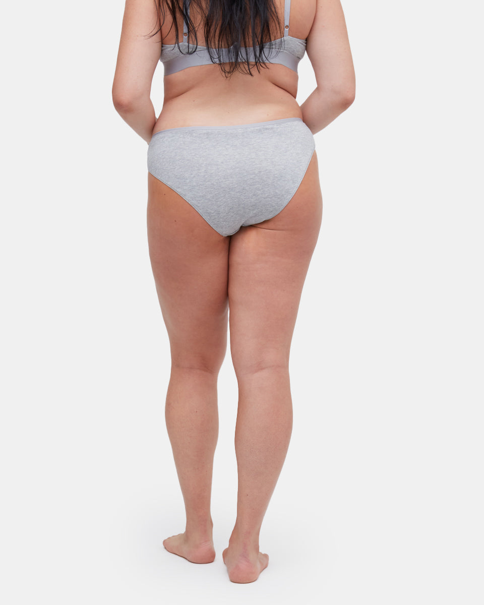Tentree Women's The Everyday Bikini Brief