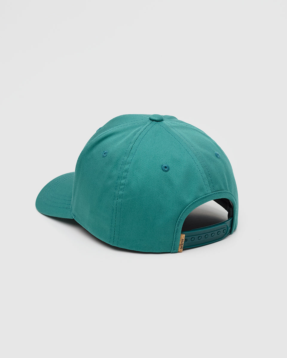 Tentree Accessories Amazon Patch Elevation Hat