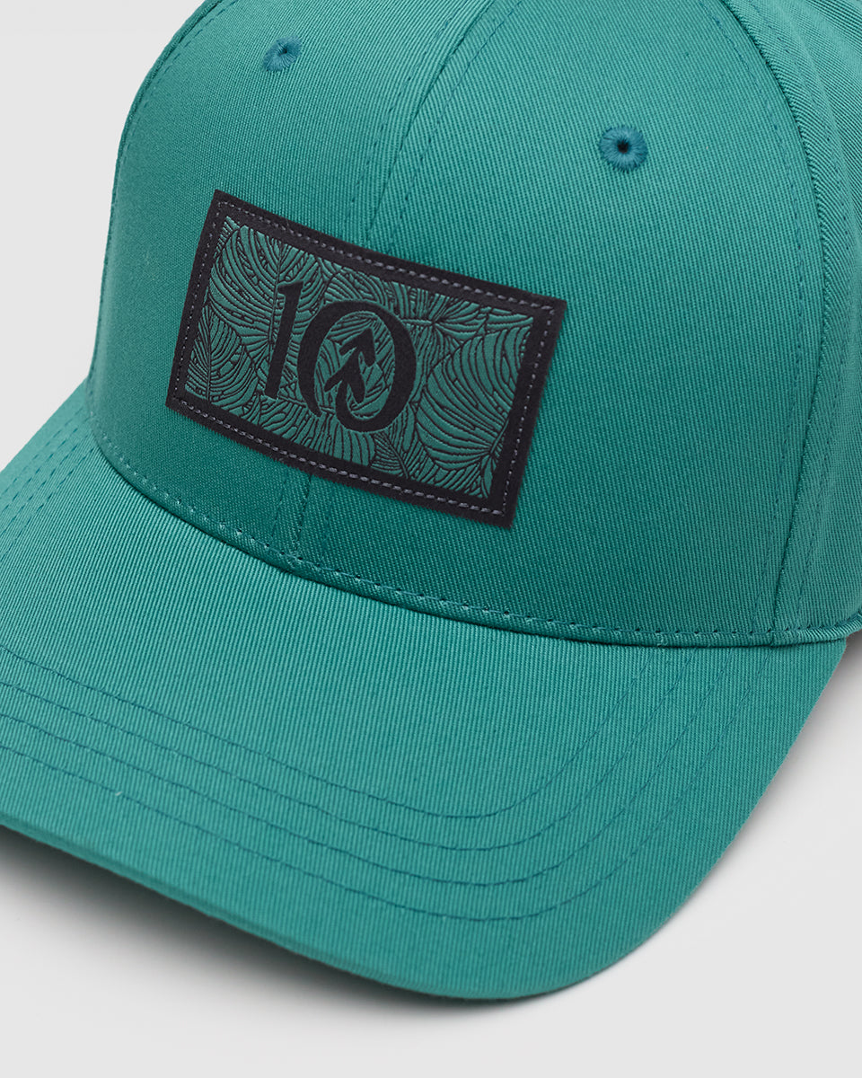 Tentree Accessories Amazon Patch Elevation Hat