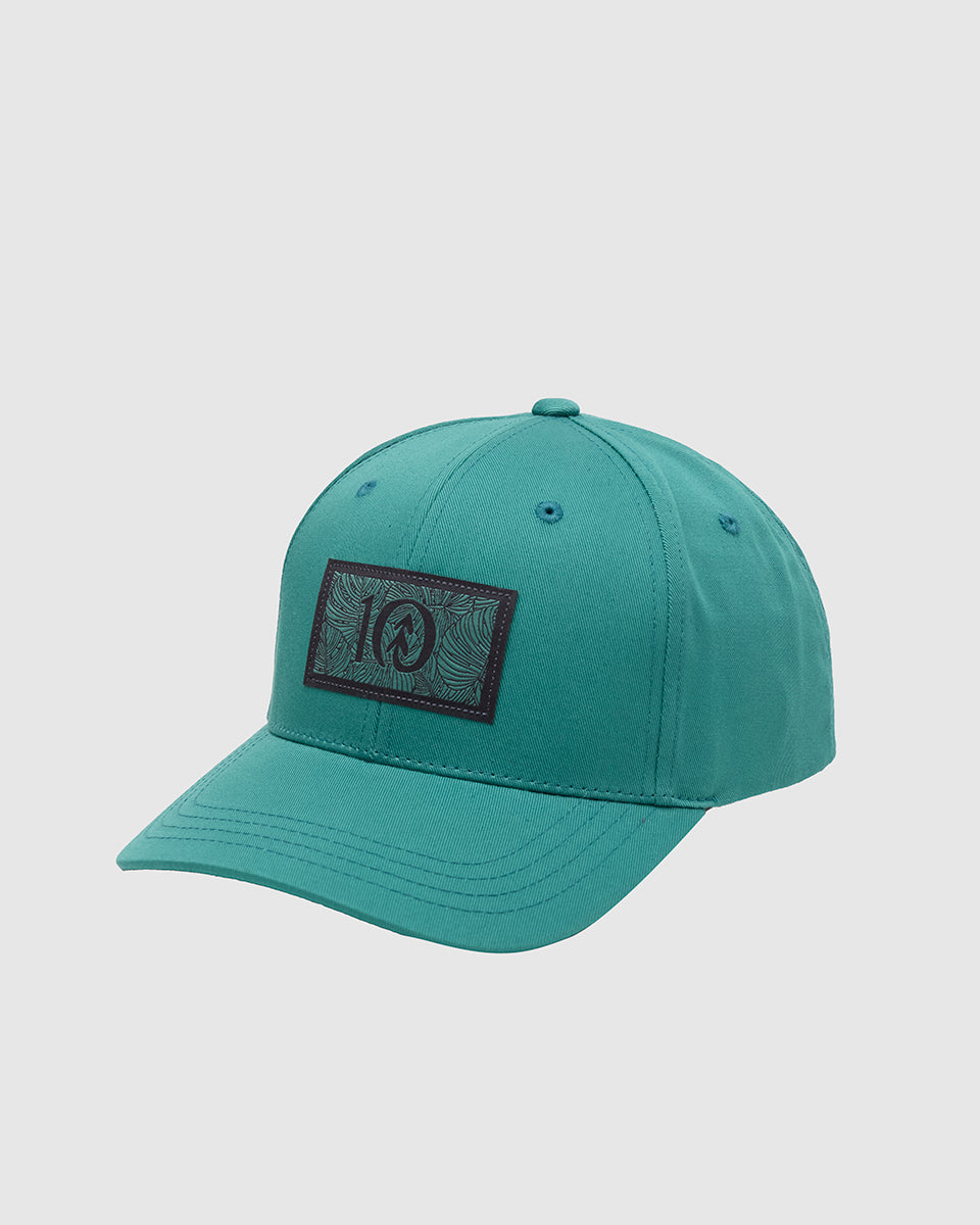Tentree Accessories Amazon Patch Elevation Hat