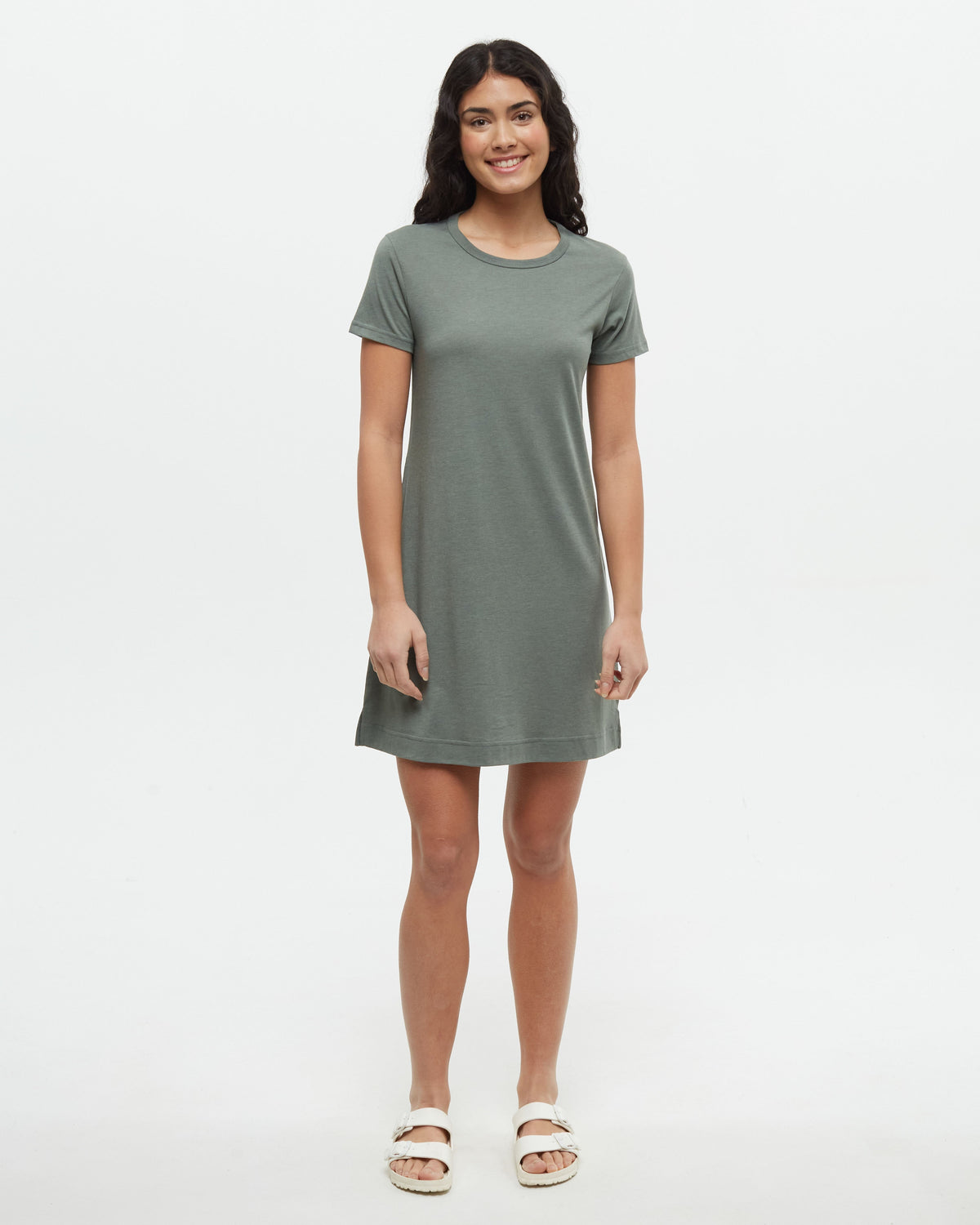 Tentree Women's Birchwood Dress