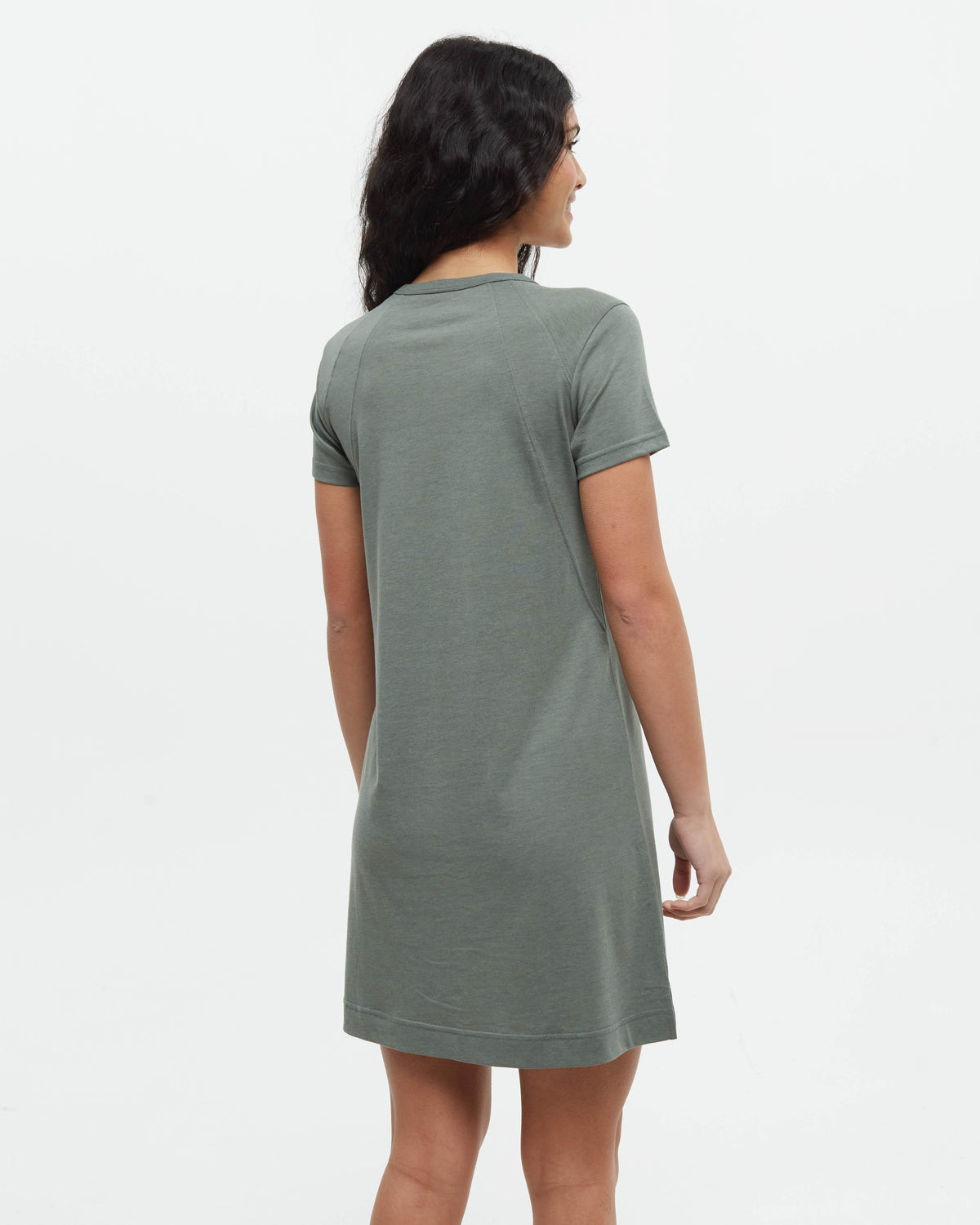 Tentree Women's Birchwood Dress