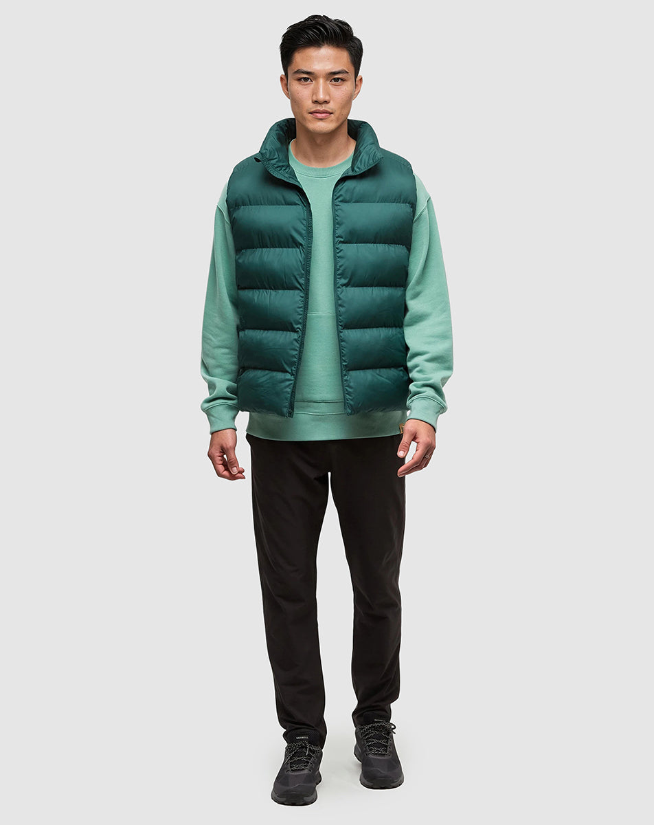 Tentree Men's Brewster Vest