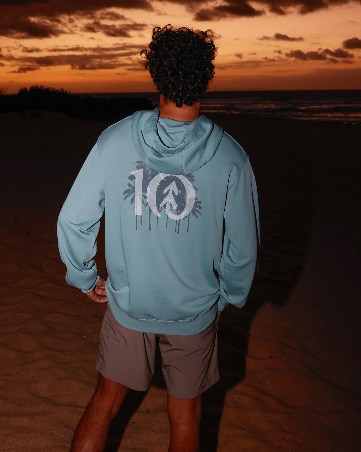 Tentree Men's Haiti Palm Logo Relaxed Hoodie